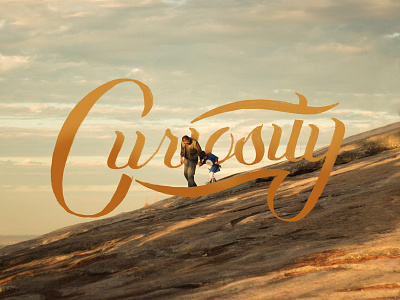 Curiosity curious georgia hand lettering ink kid lettering micron script type typography