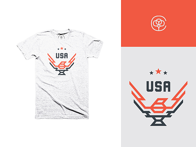 Put a bird on it... an American bird america bird cottonbureau retro stars tshirt usa vintage