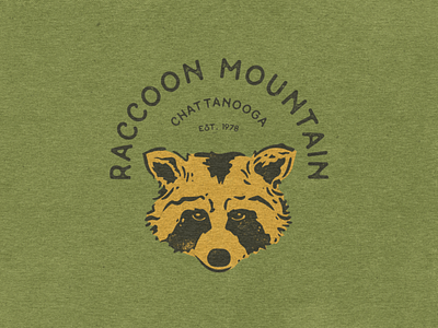 Raccoon Mountain T-shirt animal brand chattanooga mountain nativemade raccoon retro texture tshirt vintage