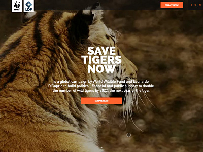 WWF Save Tigers Now css 3 frontend development html5 landing page web development wordpress theme