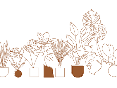 Plants illustration motion graphics plants