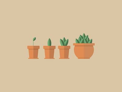 Plants