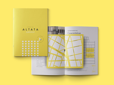 Altata 14 Brochure branding brochure design