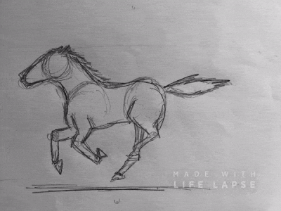 Horse animation 2d illustration pencil sketch sketches stop motion stop motion animation