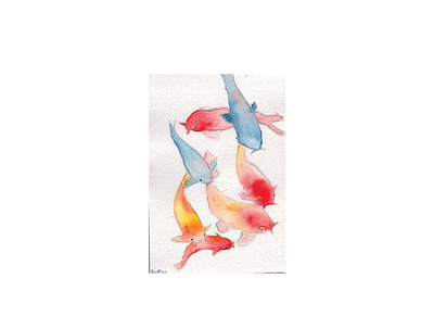 Koi Fish drawing painting watercolor