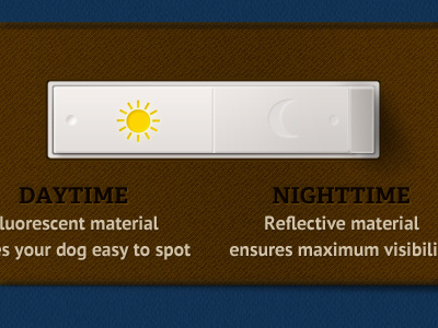 Day/Night Switch