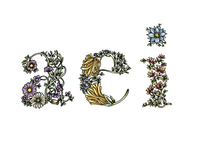 Floral Letters Illustration color fashion feminine flower illustration typography