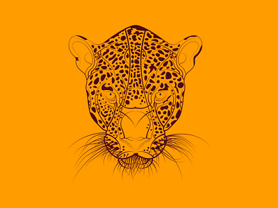 Cincinnati Bengals by Josh Warmouth on Dribbble