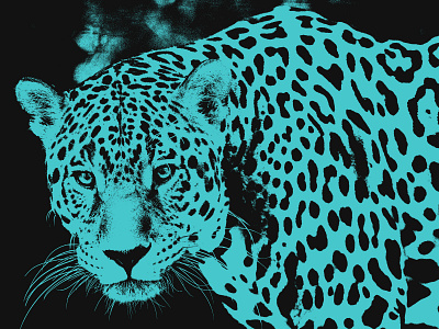 Jaguar Photo Art art black blue design gold graphic graphic design graphic art graphic artist graphic artists illustration jaguar jaguar art jaguars maroon photo art photoshop teal vector yellow