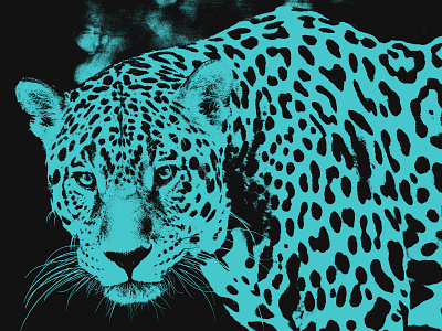 Jaguar Photo Art