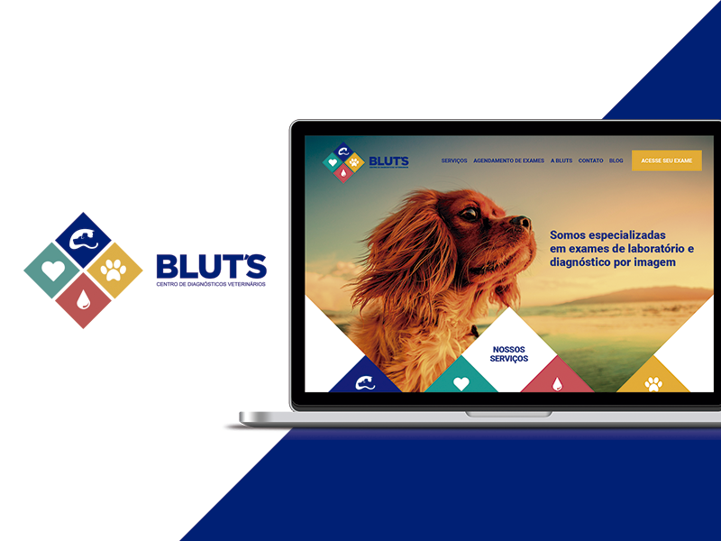 Blut's Centro de Diagnóstico Veterinário responsive wordpress website visual design ui site pet design wip teaser