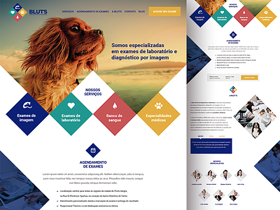 Blut's Centro de Diagnóstico design onepage pet responsive site ui visual design website wordpress