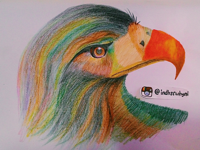 Eagle sketches art artwork colorfull design eagle illustration pencil color sketch