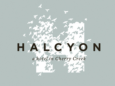 Halcyon Hotel Identity birds brand identity branding colorado h hotel identity logo sky typography