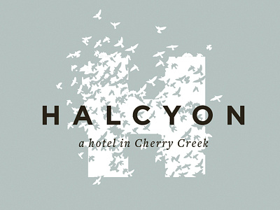 Halcyon Hotel Identity