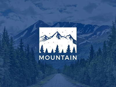 Mountain Star logo branding graphic design icon mountain logo mounting star sky star logo vector logo