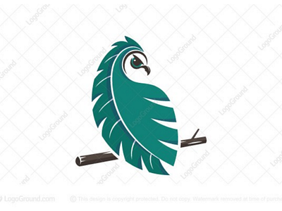 Owl leaf logo for sale