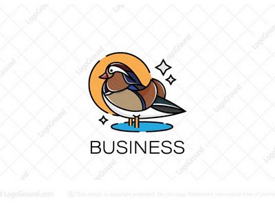 Mandarin duck logo for sale animal beautiful bird branding colorful duck lake lines logo logos mandarin modern pond sparkle sun water