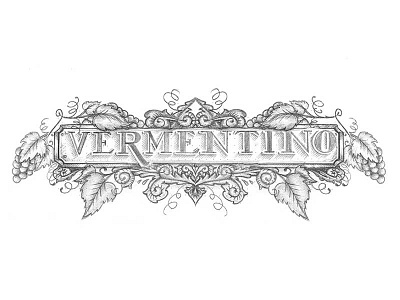 Vermentino calligraphy handlettering handmade hands illustration lettering letterist letters type typo vintage