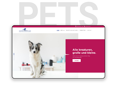 Pets design flat pets ui ux vector veterinary web website design