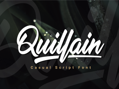 Quillain | Casual Script Font branding calligraphy font font awesome font design lettering logo logotype script script font
