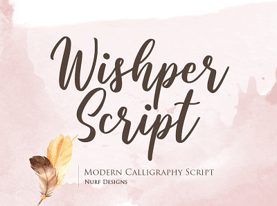 Wishper Script | Modern Calligraphy Typeface branding calligraphy font font design lettering logo logotype script script font typography
