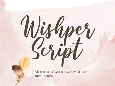 Wishper Script | Modern Calligraphy Typeface