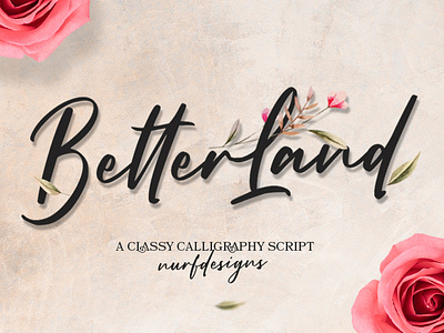Better Land | A Classy Calligraphy Script branding brush calligraphy font font design handwritten lettering logo logotype script typography