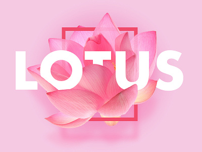 Lotus design graphicdesign photoshop