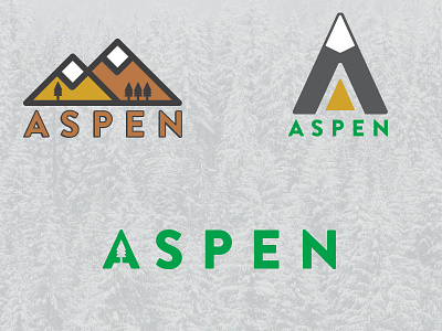 Mountain Math accounting aspen branding mountain tree