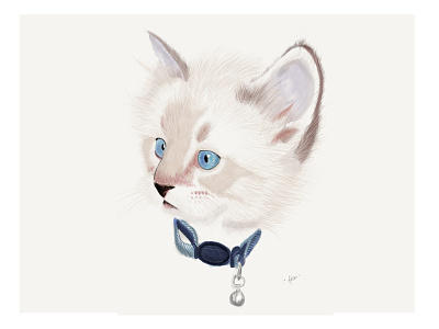 Random kitten freehand illustration