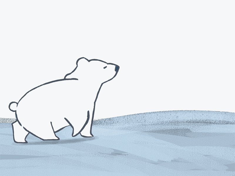 Eliot The bear 2danimation animation baby bear character drawing illustration polar bear procreate