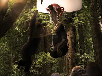Welcome To The Jungle apes art basketball digital jungle photomanipulation