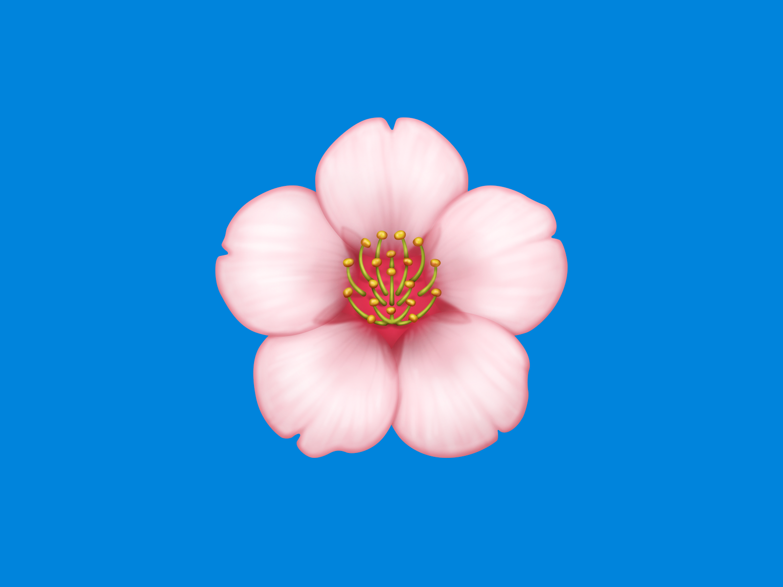 Cherry Blossom U 1f338 By Alexa Grafera For Parakeet On Dribbble