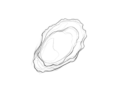 oyster sketch