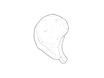 pork chop drawing