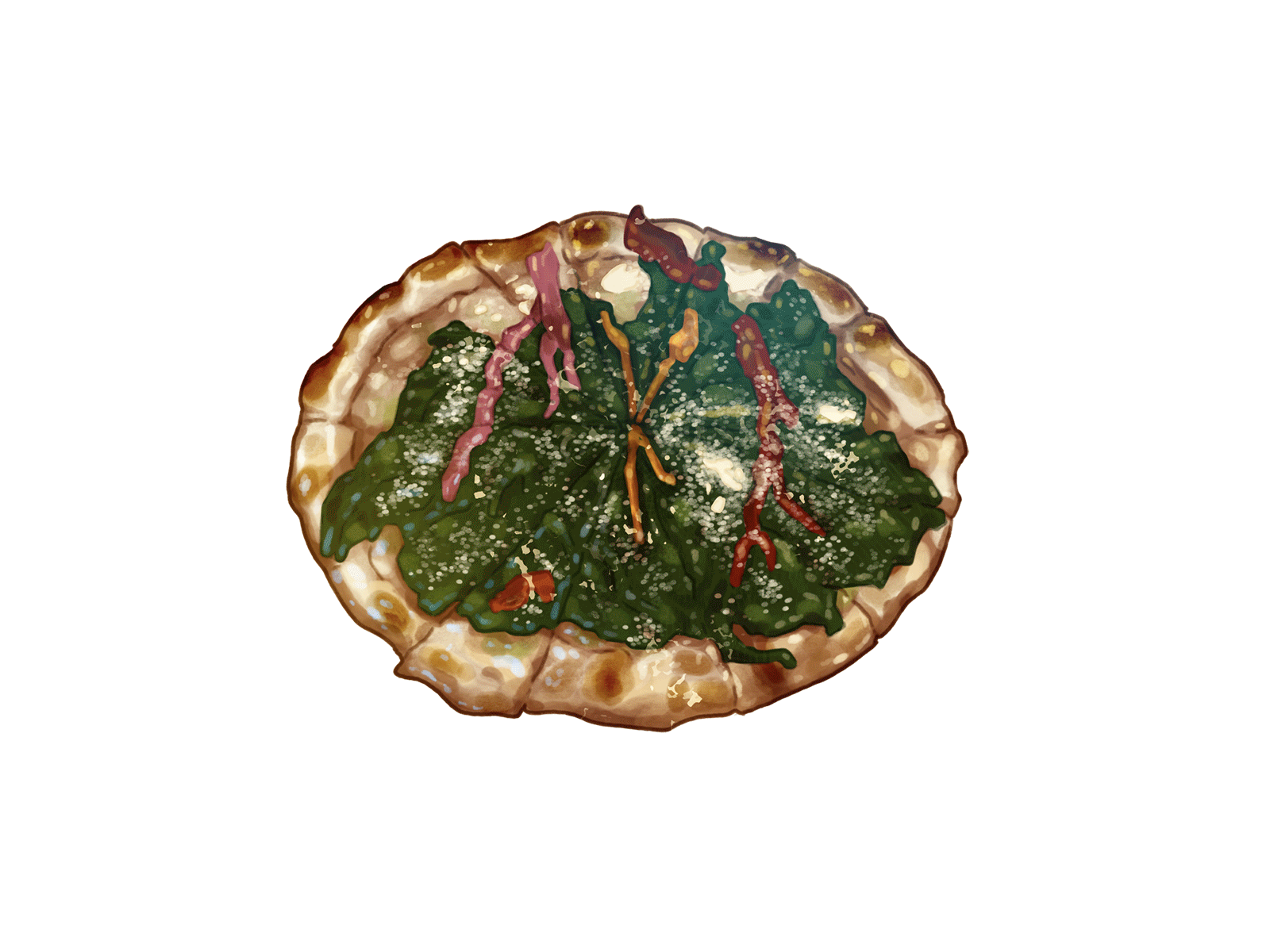 Pizza Party – Part I bacon food food illustration illustration jianbing lamb margherita pdx pide pizza rainbow chard scallions
