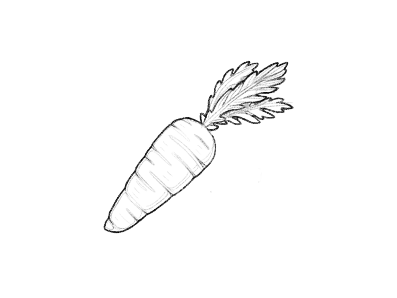 Hand Drawn Carrot In Sketch Cartoon Style For Posters, Recipe, Culinary  Design, Easter Design, Greeting Cards, Print. Isolated On White. Colored  Doodle Icon Vector Illustration. Royalty Free SVG, Cliparts, Vectors, and  Stock