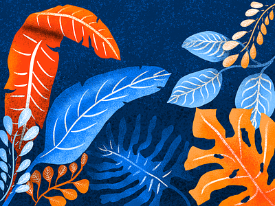 Midnight Garden complementary colours graphic design illustration illustrator ipad plants procreate texture