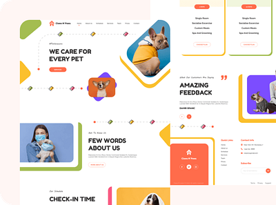 Pet Care Website design graphic design ui ux web design