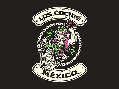 Los Cochis Mx