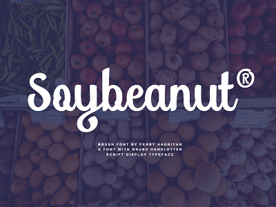 Soybeanut - Brush Script Font brush brush font fey design font fonts lettering script script font soybeanut swashes typography