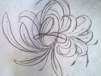 Trinity sketch calligraphy drawing florida graphite monograms palms sketch