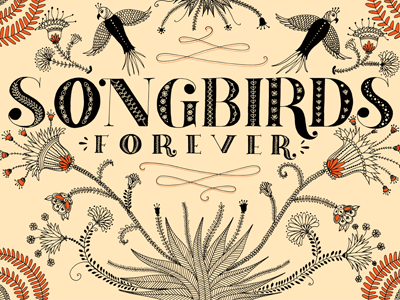 Songbirds birds lettering pen and ink
