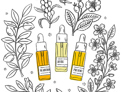 Naked + Thriving Beauty Product Illustrations beauty botanical floral flowers illustration plants product product illustration