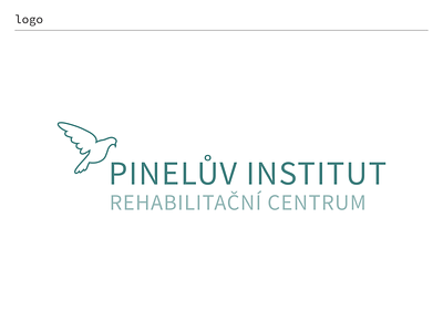 Pinel Institute branding design flat icon illustration vector