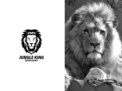 Jungle King box design branding design fiverrgigs gaminglogo illustration layoutdesign twitch overlay typography vector