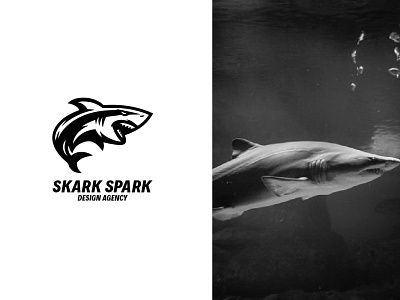 Shark Spark branding design fiverrgigs icon illustraion illustration logo twitch overlay typography ux