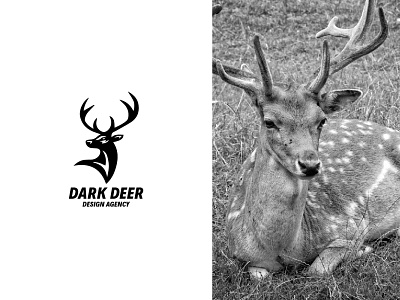 Dark Deer