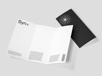 Syno - User Pamphlet branding design graphic design lettering logo minimal mockups typography web website
